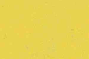 Линолеум Forbo Marmoleum Decibel on Order 374135 yellow glow фото  | FLOORDEALER